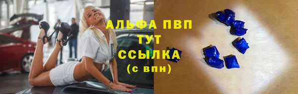 стаф Алексин