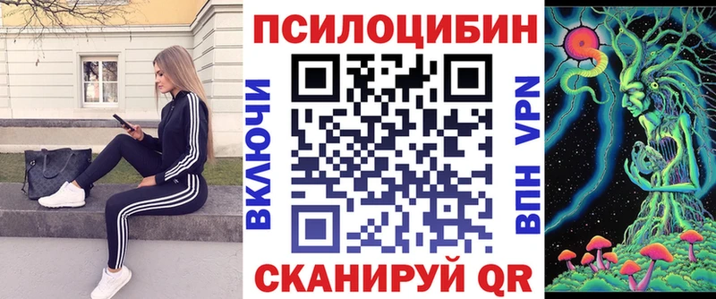 Псилоцибиновые грибы Cubensis  Андреаполь 