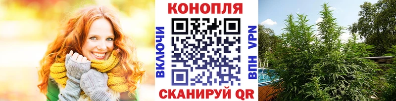 ОМГ ОМГ ONION  Андреаполь  Шишки марихуана VHQ 